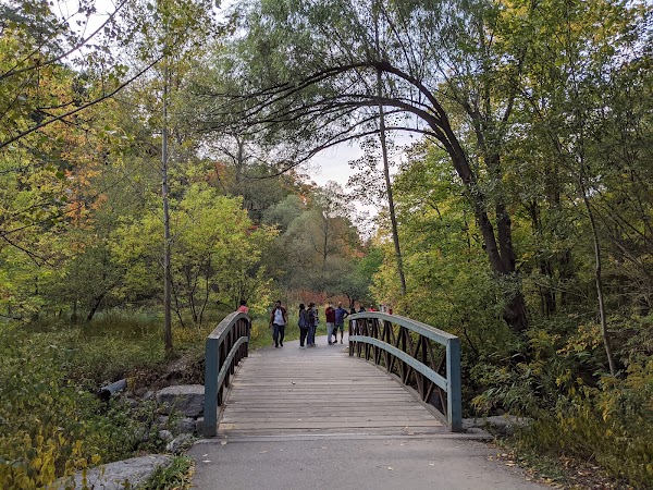 Wilket Creek Park#3