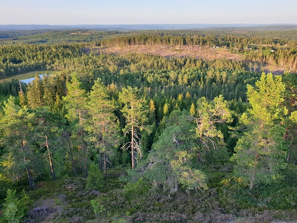 Mackarsberg 1