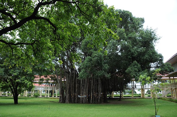 Mrigadayavan Palace 2