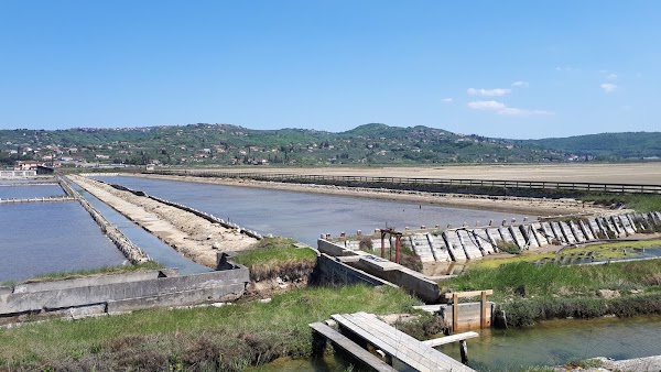 Sečovlje/Sicciole Saltpans Nature Park