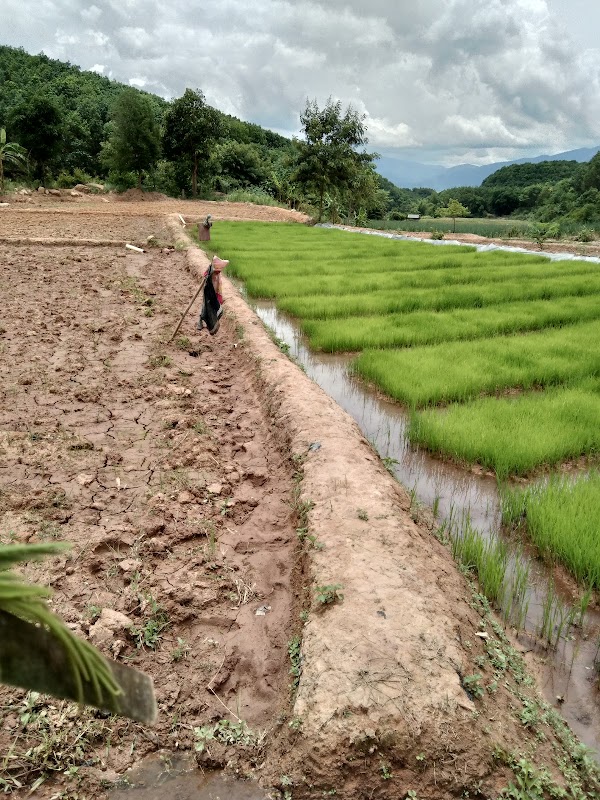 Luang Namtha Province