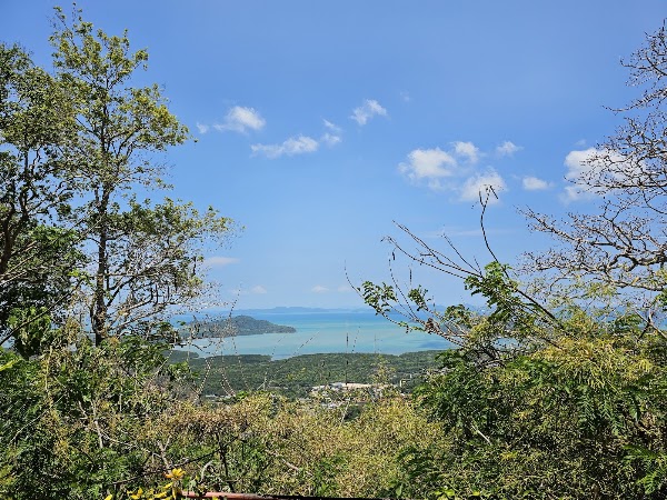 Monkey Hill Viewpoint 3