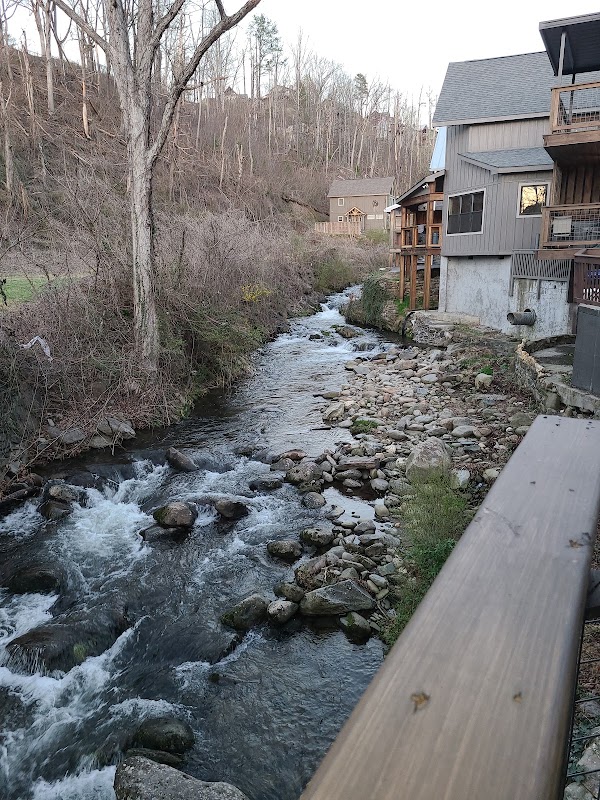 Roaring Fork Creekside Cabin