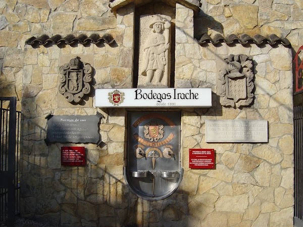 Camino 20