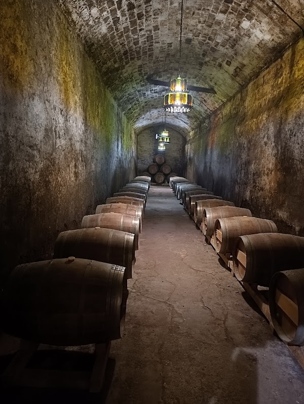 Bodegas Irache 5
