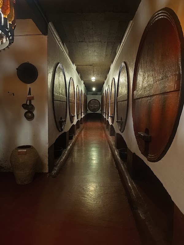 Bodegas Irache 3