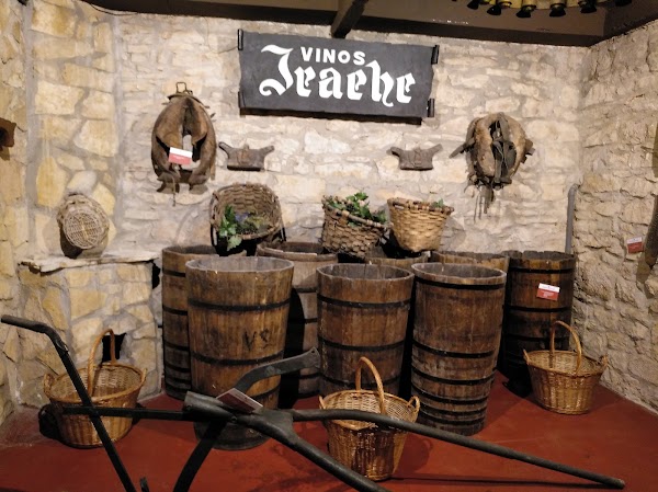 Bodegas Irache 2