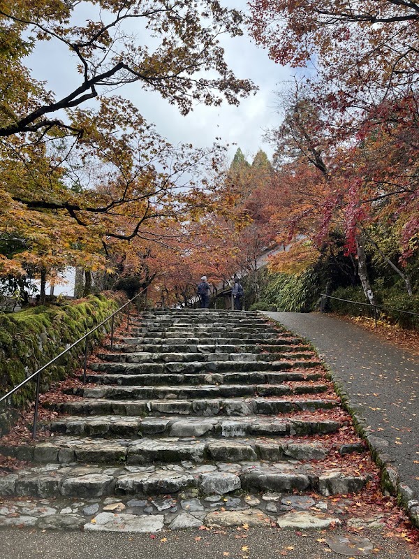 Ohara 2