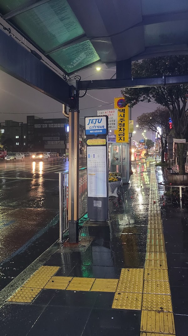 Jeju Bus Terminal 3