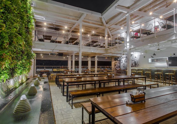 1131 Bar + Kitchen 1