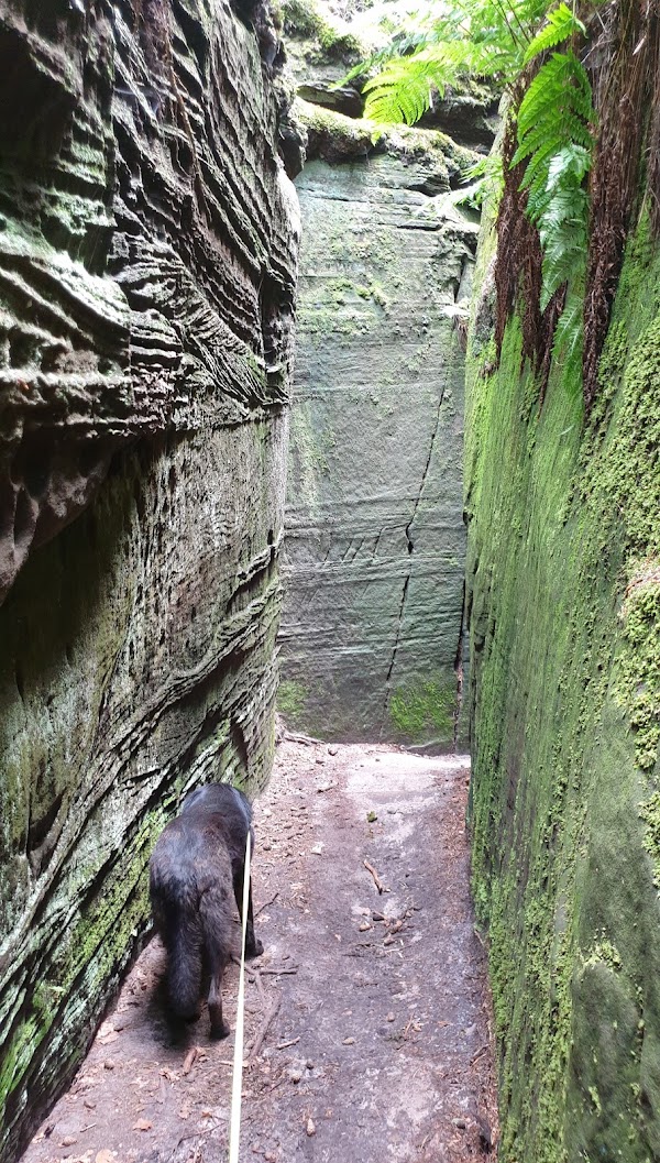 Berdorf 3