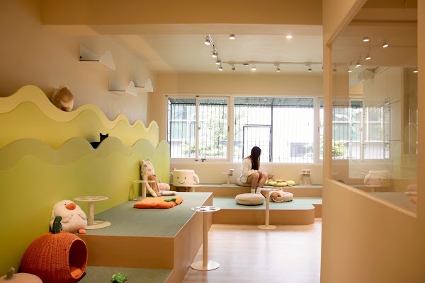 NUKU NUKU CATCAFE
