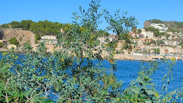 Port de Sóller 4