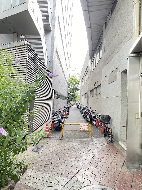 Ginza Parking Lot 2