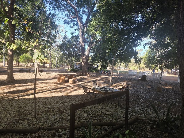 Birdwood Downs Station 2