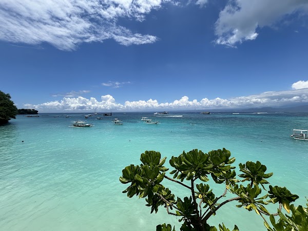 Coconut Beach 1