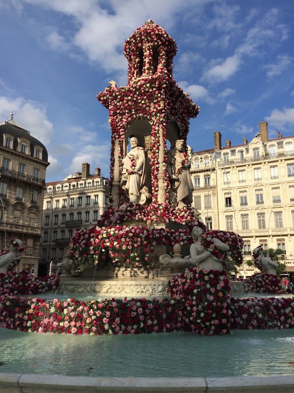 Lyon 4