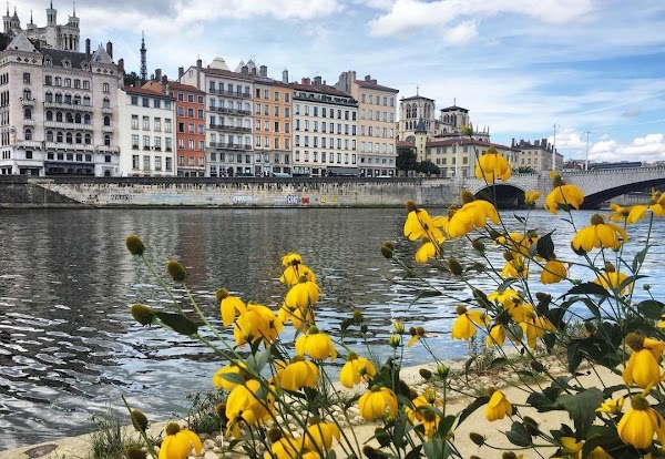 Lyon 2