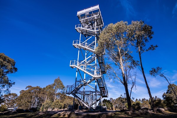 Mount Donna Buang Observation Tower 5