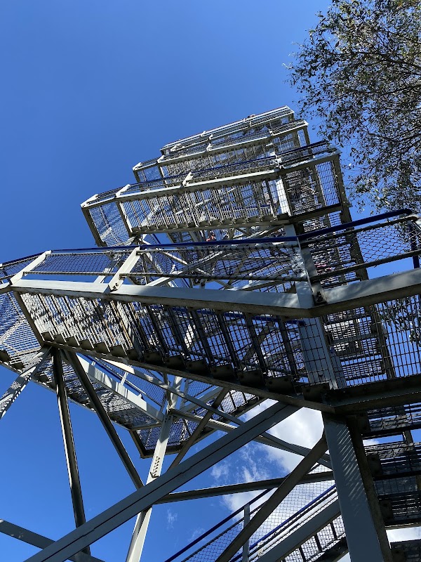 Mount Donna Buang Observation Tower 4
