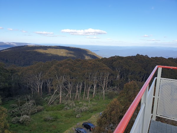 Mount Donna Buang Observation Tower 2
