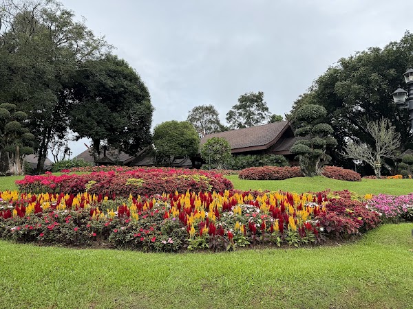 Doi Tung Royal Villa, Mae Fa Luang 2