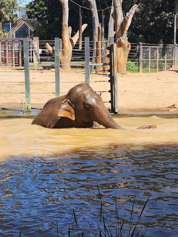 Melbourne Zoo 5