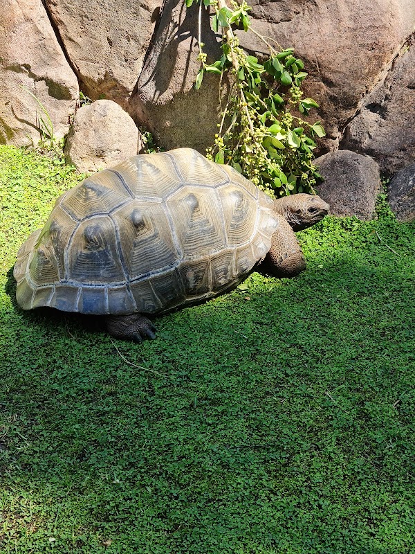 Melbourne Zoo 3