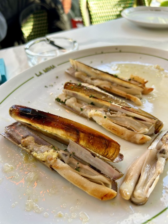 Taberna La Mina 2
