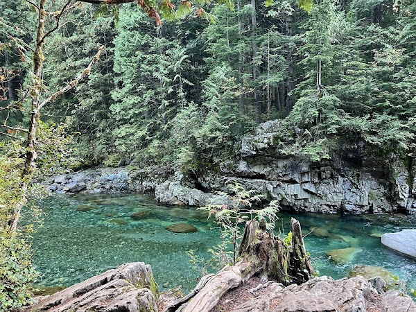 Gold Creek 5