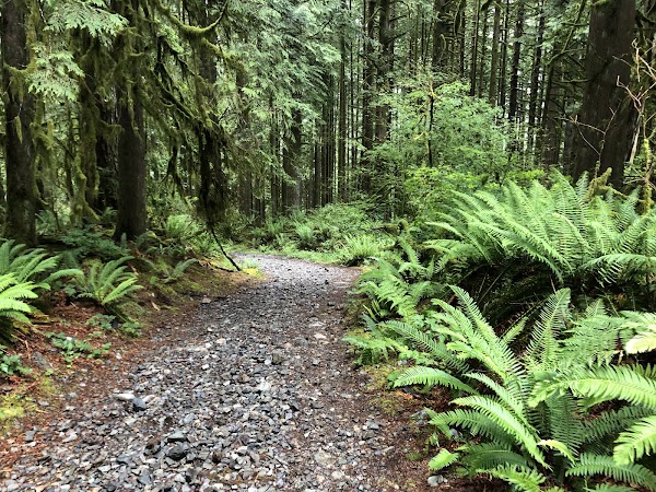 Gold Creek 2
