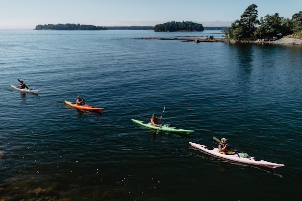 Natura Viva | Vuosaari Paddling Center