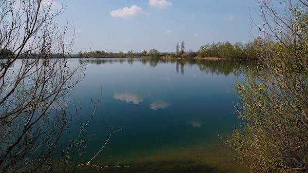Altrheinsee
