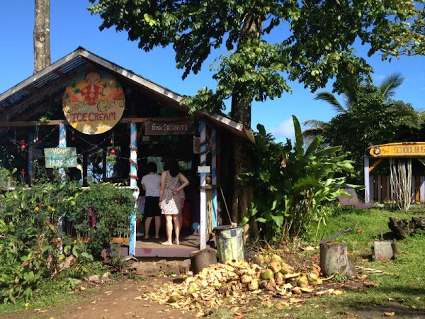 Coconut Glen's 3