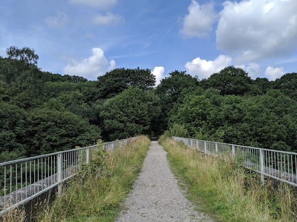 Healey Dell Nature Reserve