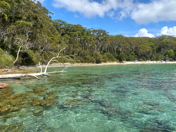 Blenheim Beach, Jervis Bay 1