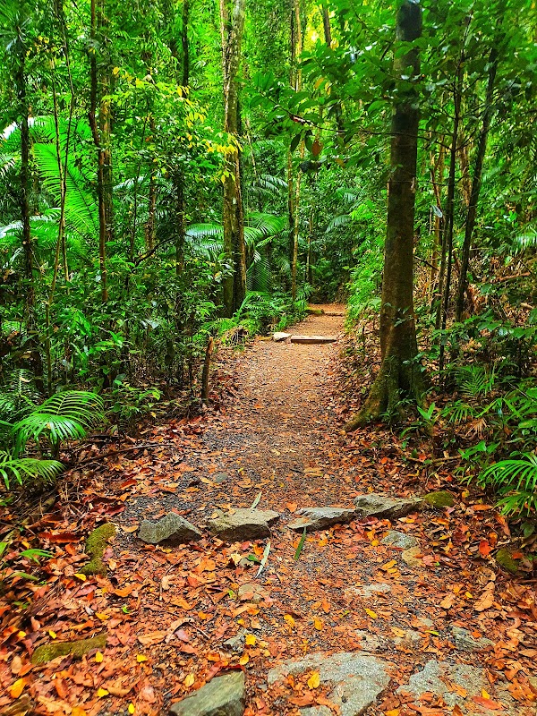Finch Hatton Gorge 2