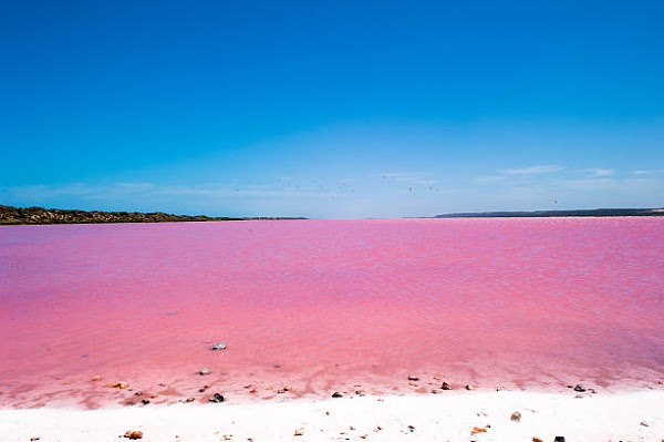 Lake Hillier 4