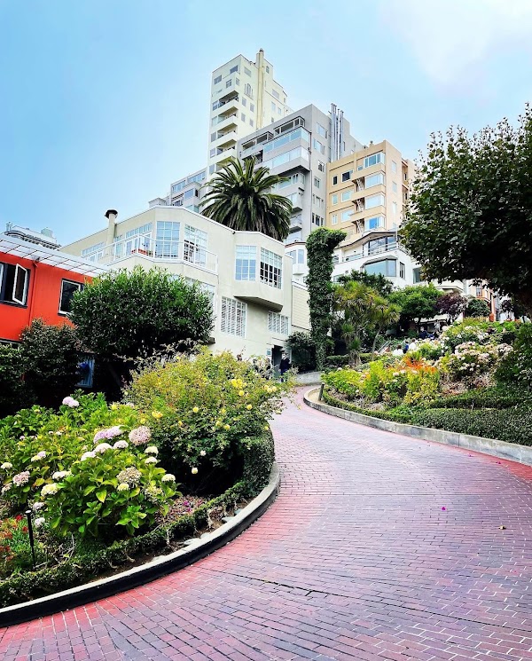 Lombard Street 3