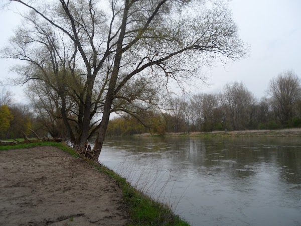Danube River 2