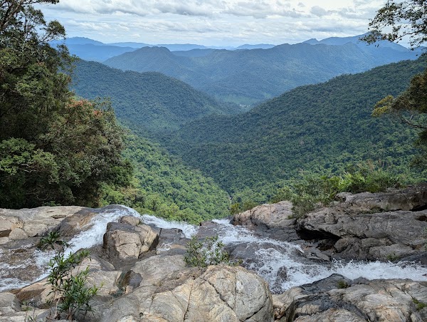 Rhododendron Falls 5