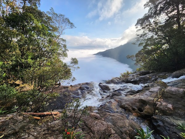 Rhododendron Falls 4