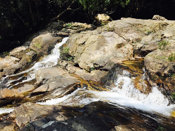 Rhododendron Falls 3