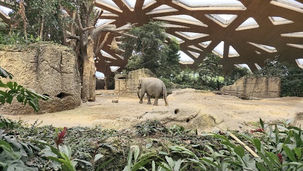 Zoo Zürich
