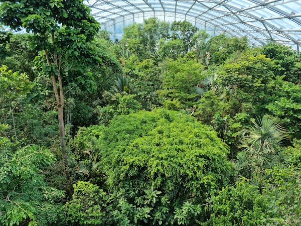 Zoo Zürich 4