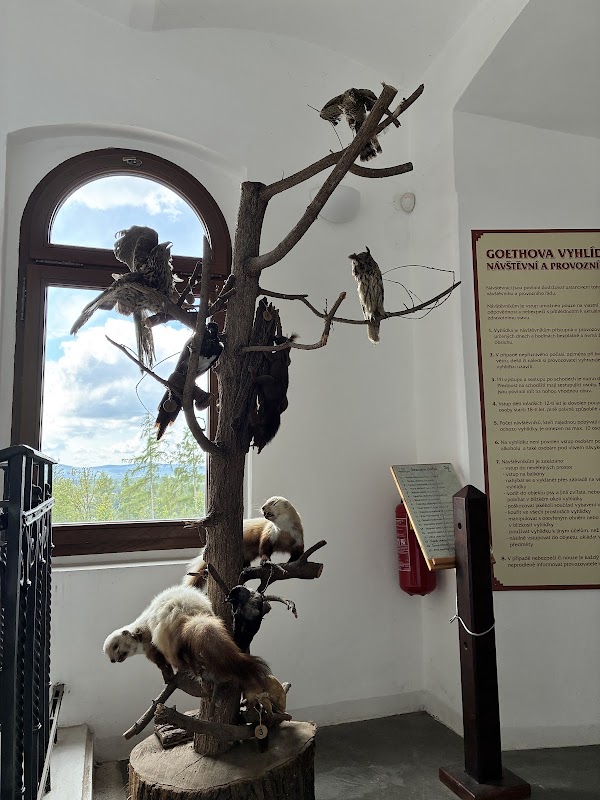 Goethe's Lookout Tower 2