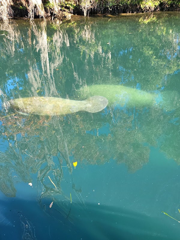 Crystal River