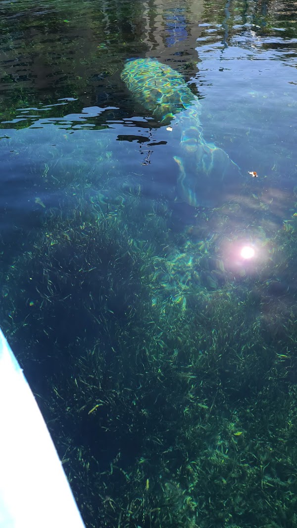 Crystal River 5