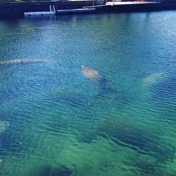 Crystal River 4