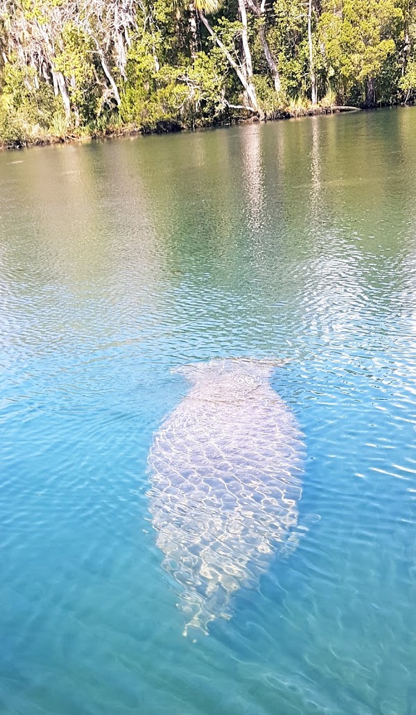 Crystal River 3